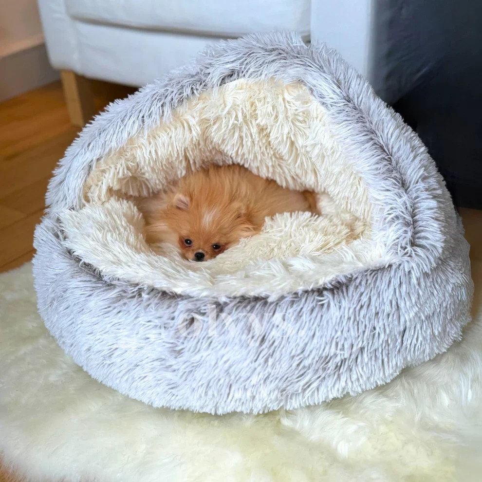 Pet Cave